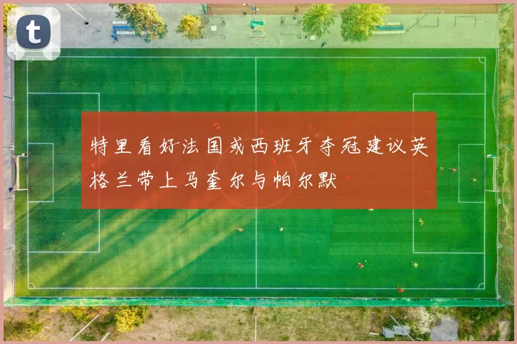 特里看好法国或西班牙夺冠建议英格兰带上马奎尔与帕尔默