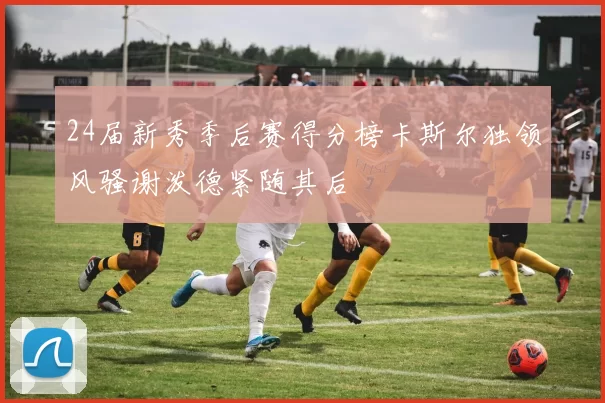 24届新秀季后赛得分榜卡斯尔独领风骚谢泼德紧随其后