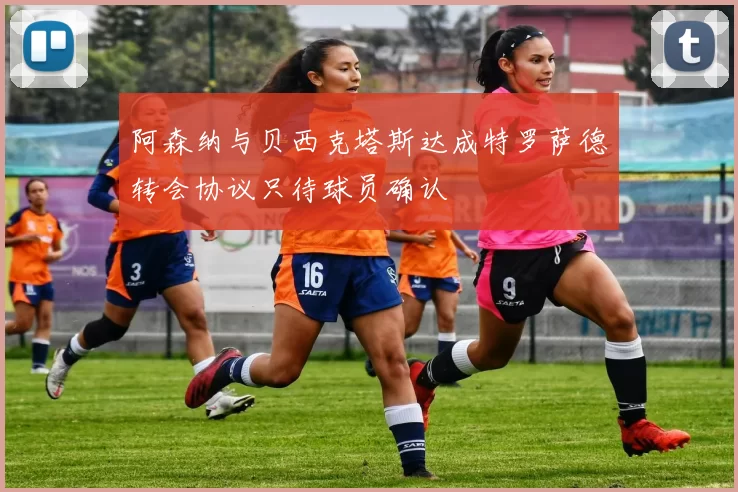 阿森纳与贝西克塔斯达成特罗萨德转会协议只待球员确认